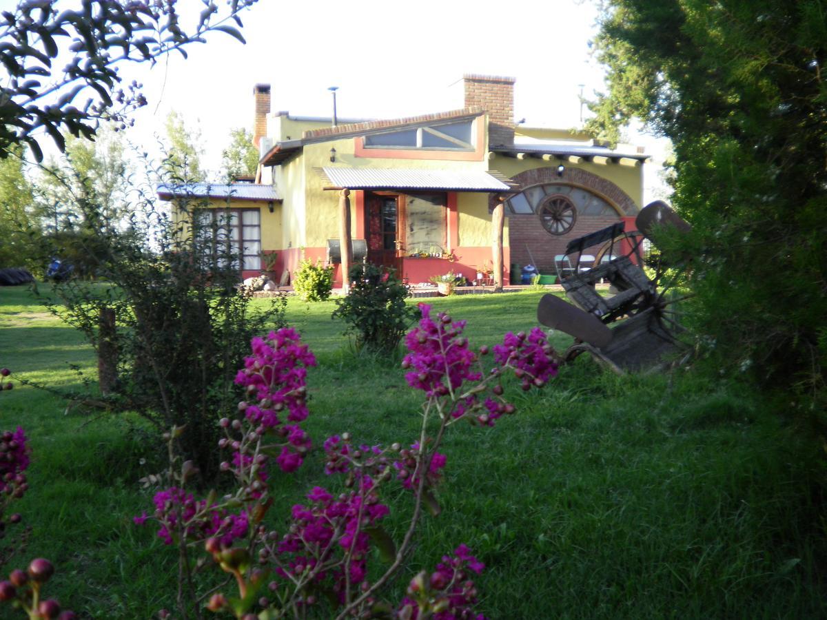 Posada De Campo Mamull Mapu Rancul Exterior photo